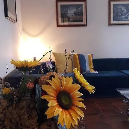 Vakantiehuis Serena Capannori