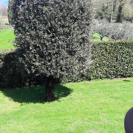 Serena Holiday home